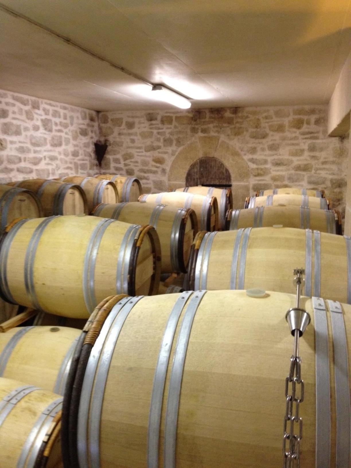 Château de Valloubière Saint-Jean-de-Fos Extérieur photo